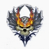 srbebnocc's Avatar